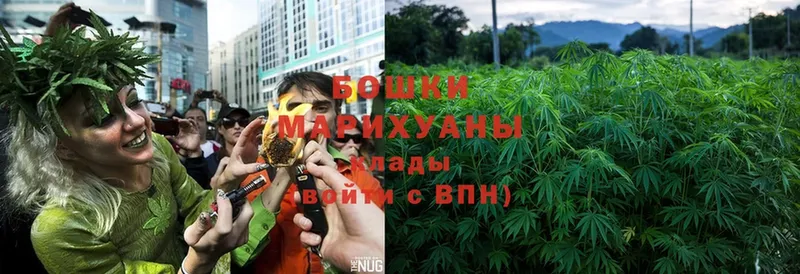 Шишки марихуана SATIVA & INDICA  что такое   Лихославль 